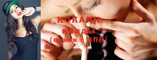 дурь Бородино