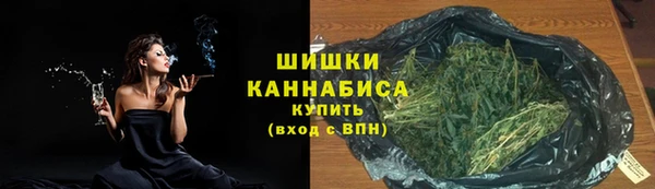 стаф Усинск