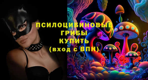 дурь Бородино